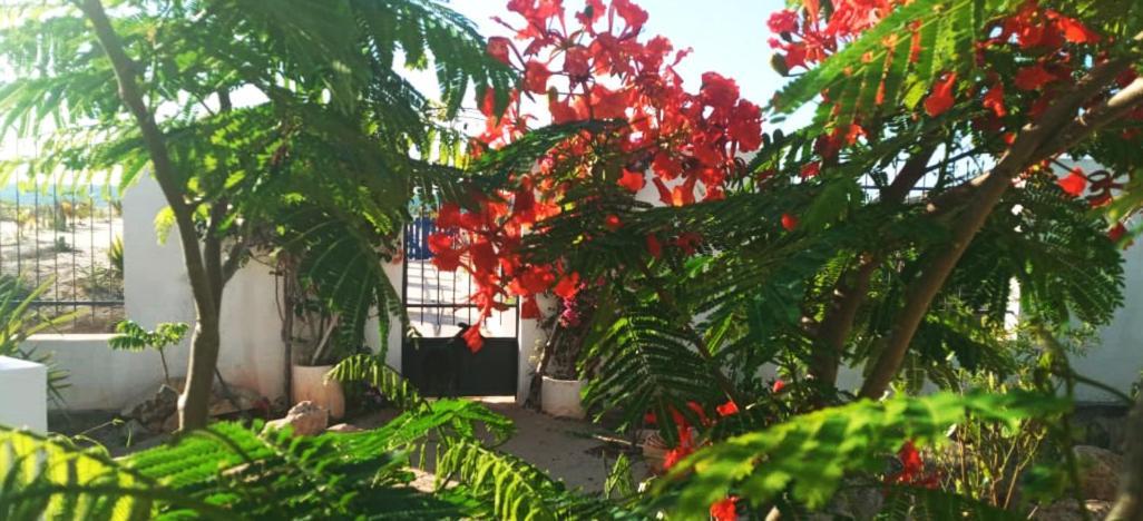 Cytyz Appart Hotel Mahajanga Esterno foto