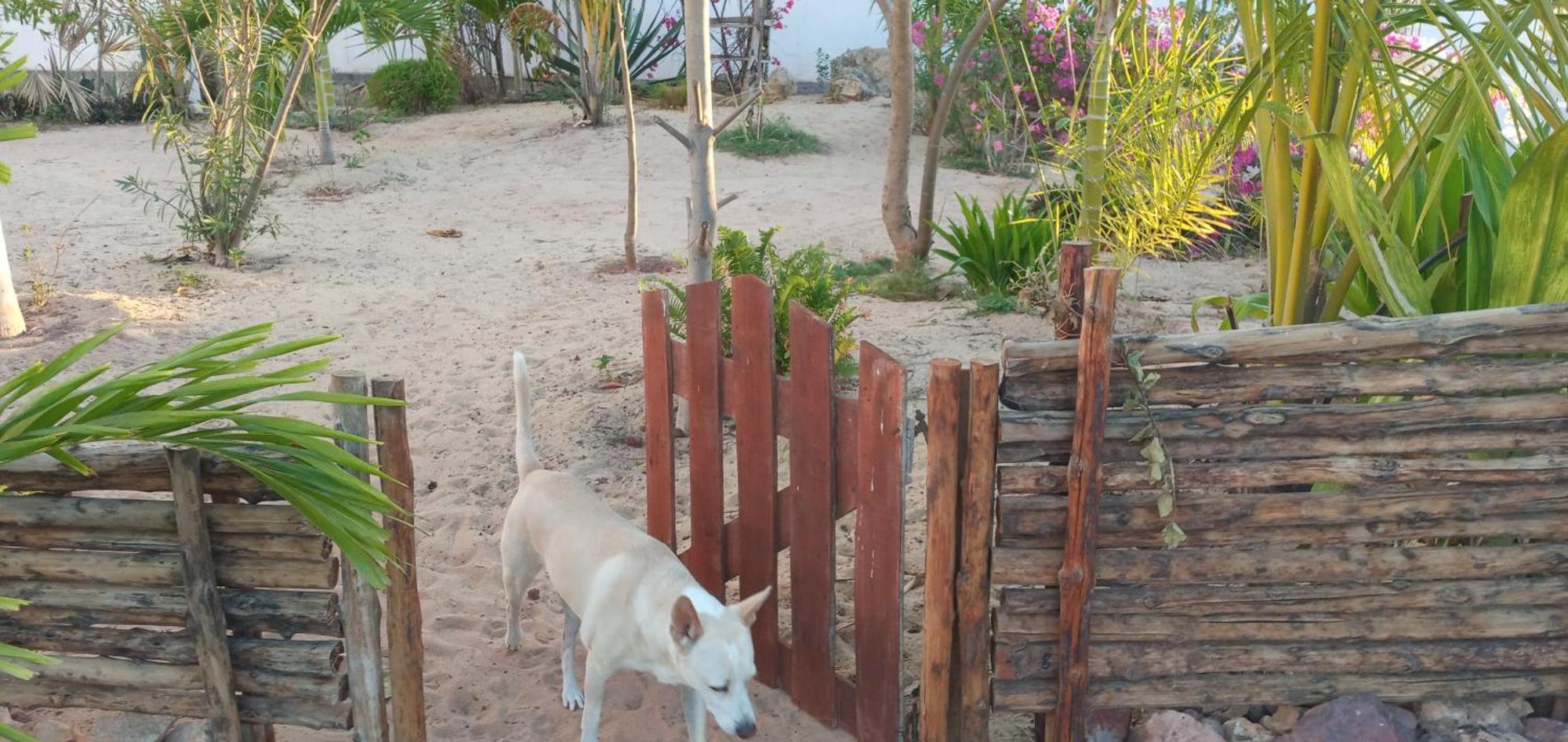 Cytyz Appart Hotel Mahajanga Esterno foto