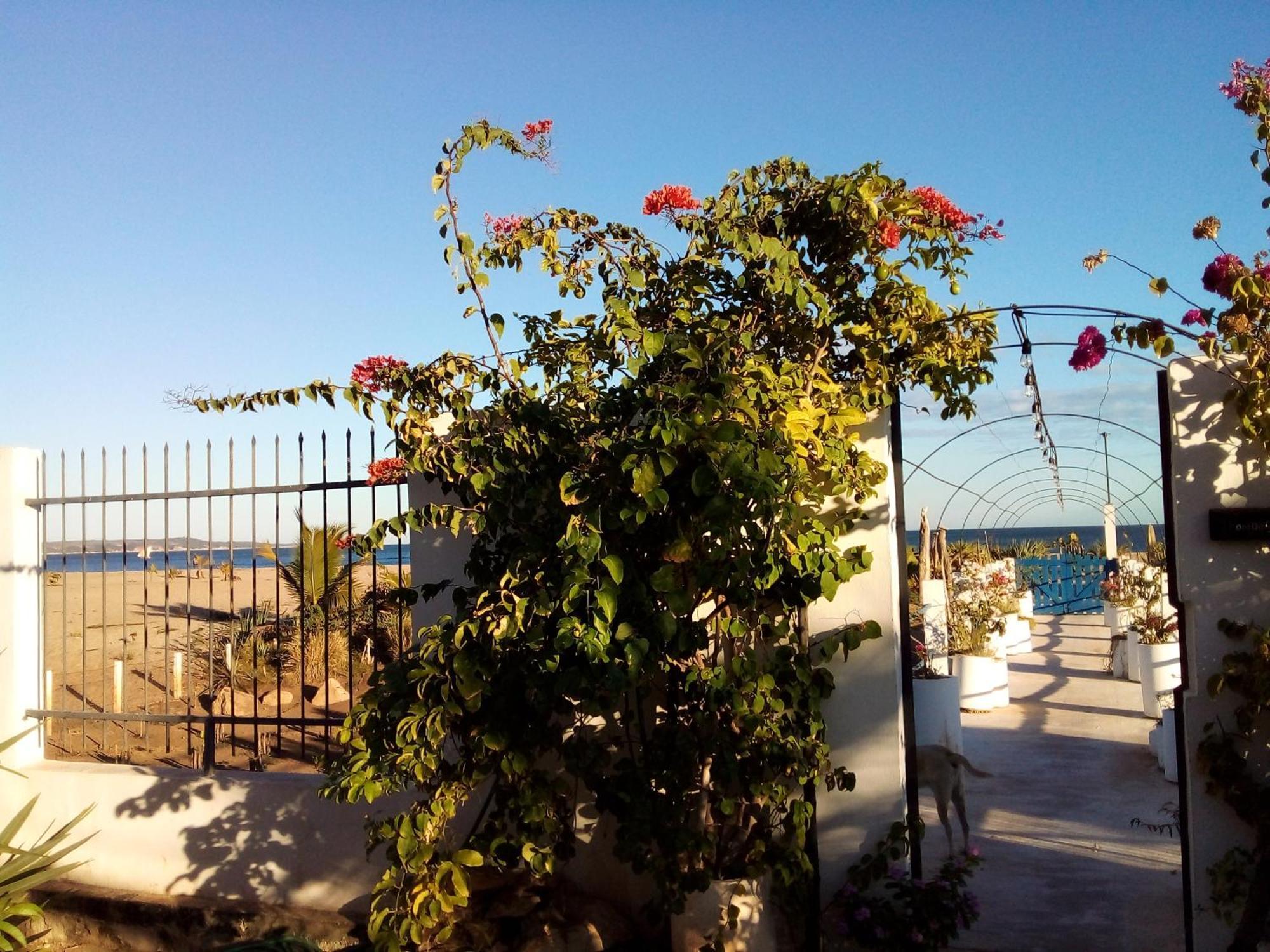 Cytyz Appart Hotel Mahajanga Esterno foto
